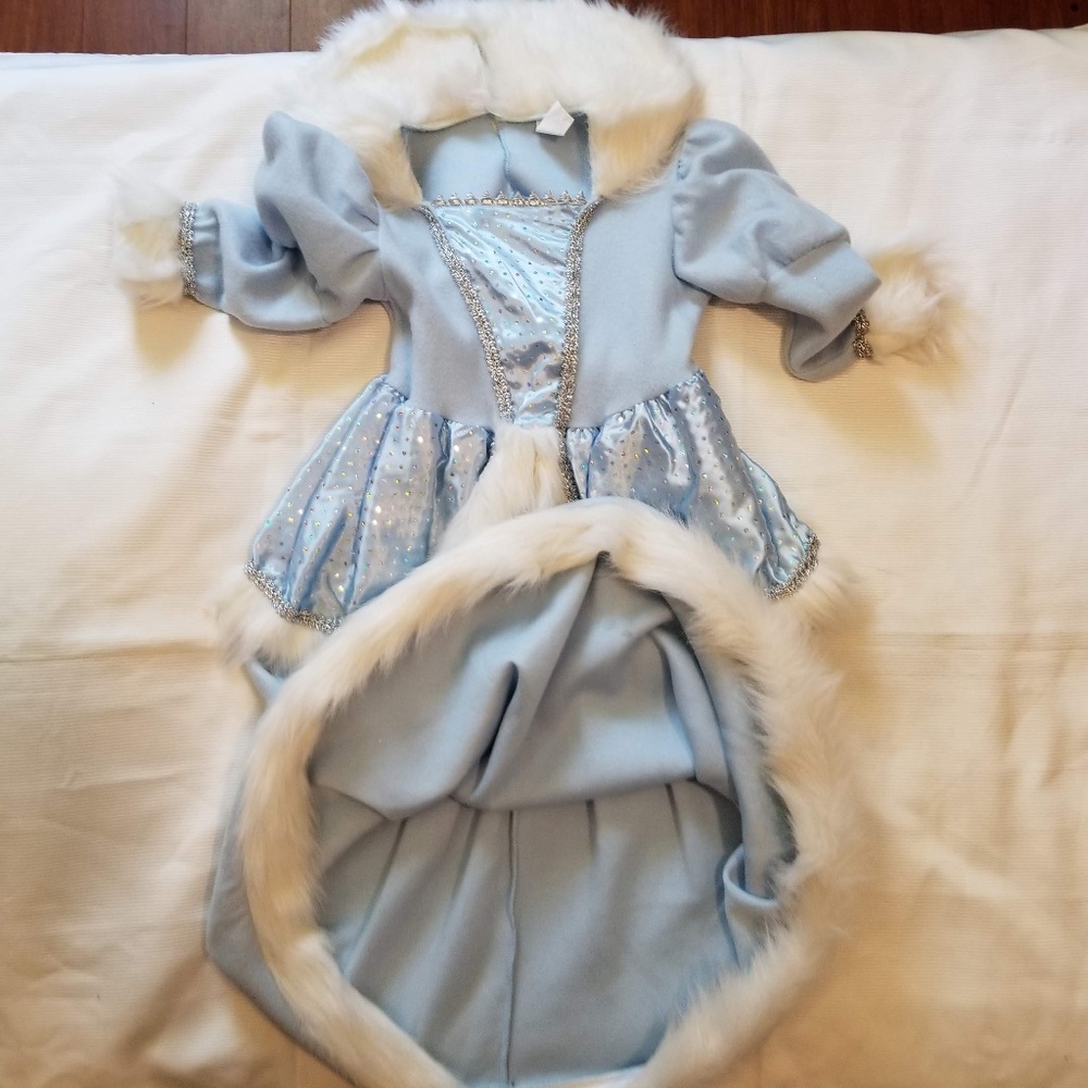 Girls Blue Princess Dress